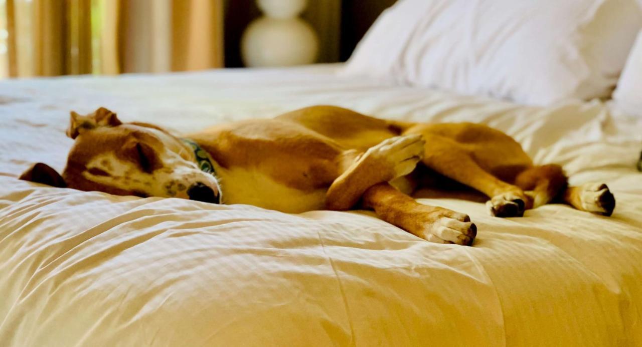 Sonesta Simply Suites Houston Galleria Medical Center Екстериор снимка